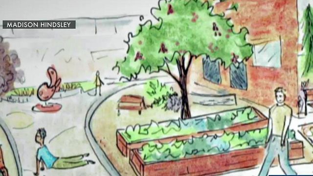 Pair wants to create therapeutic gardens for kids behind bars