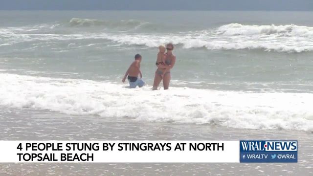 Stingrays reported along NC beaches