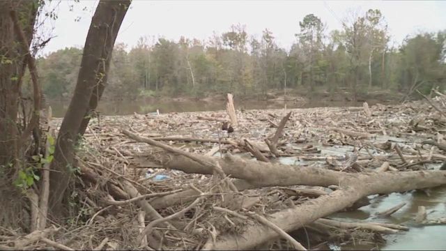 Florence clean-up continues as logs pose problem
