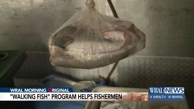 'Walking Fish' program helps fishermen recover from Florence