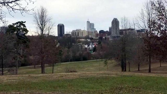 Raleigh City Council approves Dix Park master plan