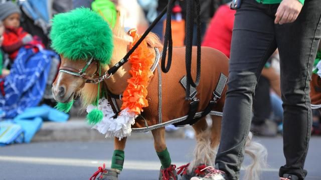 Hundreds of Irish and locals came out to see the St. Patrick's Day Parade and Festival. The event was held in downtown Raleigh, NC on Saturday, March 16, 2019. (Photo By: Beth Jewell/WRAL Contributor). Hundreds of Irish and locals came out to see the St. Patrick's Day Parade and Festival. The event was held in downtown Raleigh, NC on Saturday, March 16, 2019. (Photo By: Beth Jewell/WRAL Contributor).