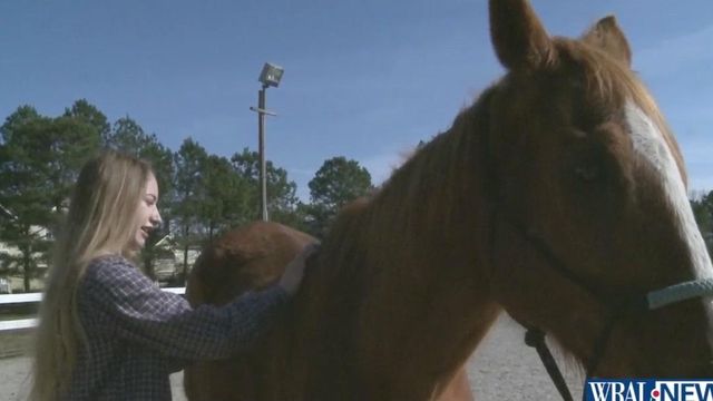 Cary horse farm aims to turn at-risk teens around