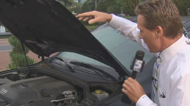 Pollen is troublesome for cars during spring maintenance