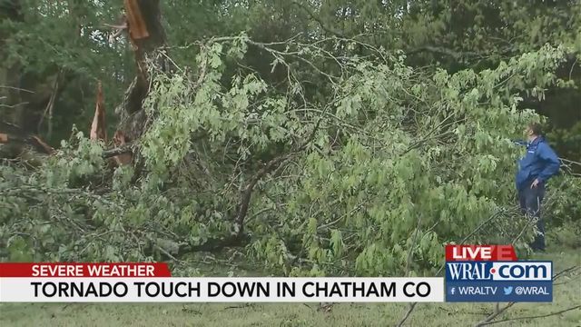 Chatham County tornado snapped, twisted huge trees