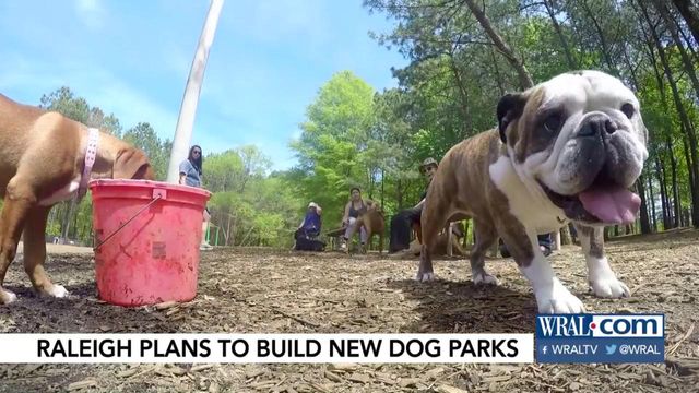 Raleigh to add four dog parks
