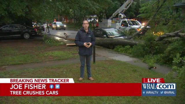 Tree falls in north Raleigh, damaging 3 cars