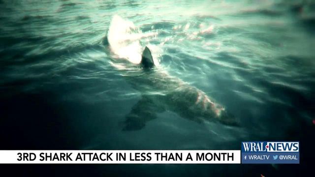 NC coast sees third shark encounter this month