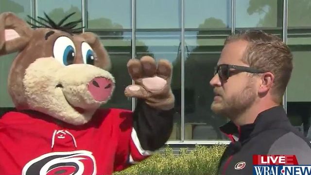 Hurricanes Summerfest will be haven for team's fans