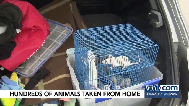 Hundreds of rats, other animals removed from Cary home