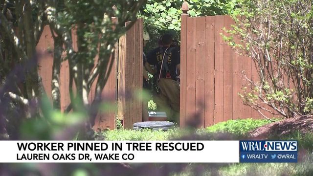 Worker rescued after being stuck in tree