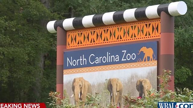 NC Zoo grapples with worker's death during rescue drill