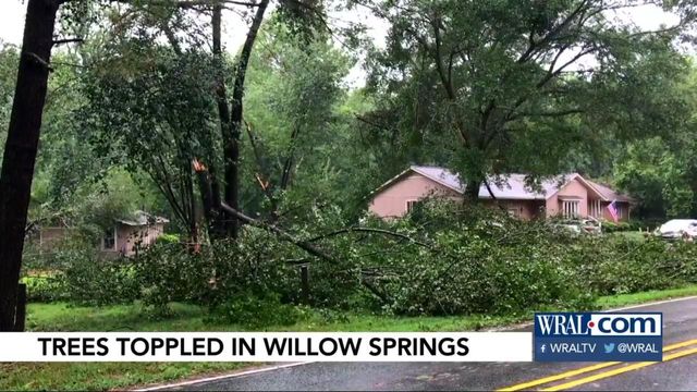 Willow Springs area among those hit by storm damage