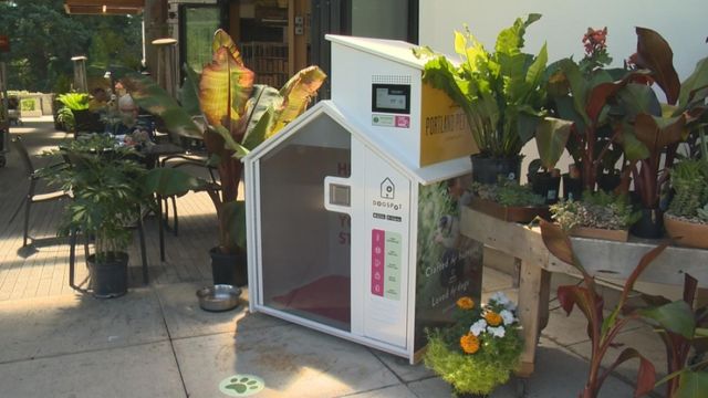 Shoppers in Portland can keep their dogs cool in unique way