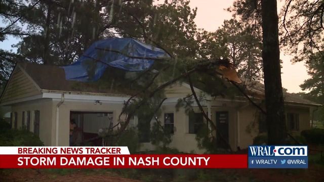Strong storms bring down trees, power lines, cause other damage