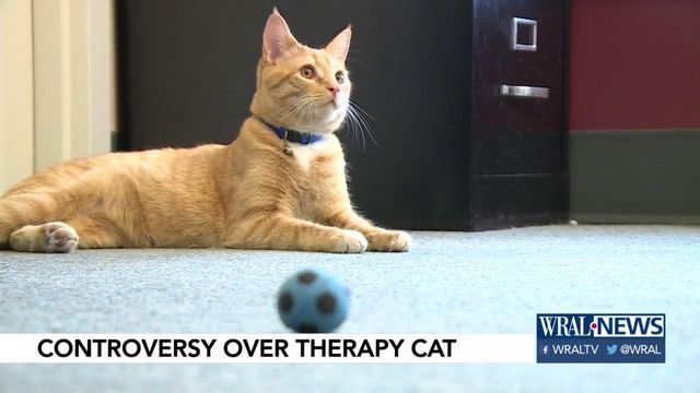 Controversy brews over therapy cat Sgt. Butters at Mocksville Police Department