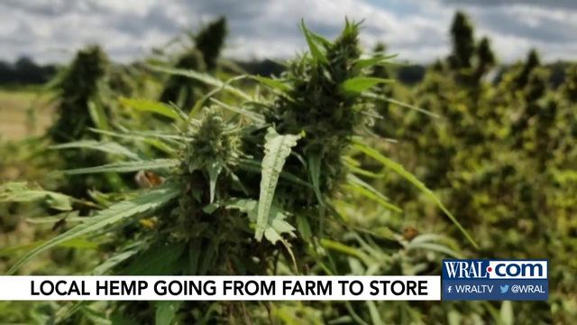 NC farms, labs for hemp connection to develop new products