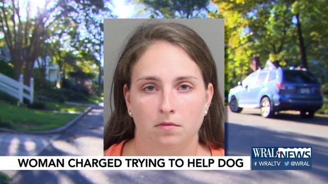 Woman who thought she was doing the right thing charged with stealing dog