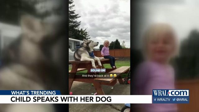 Video of young girl having conversation with her dog goes viral