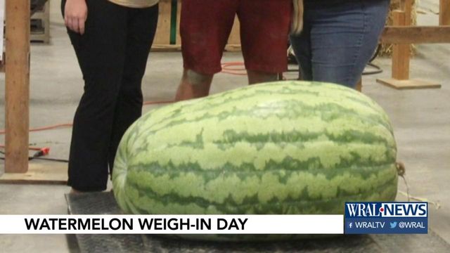 Giant watermelons, pumpkins win big at State Fair competition