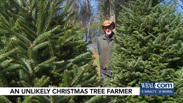 Florida native harvests NC Christmas trees