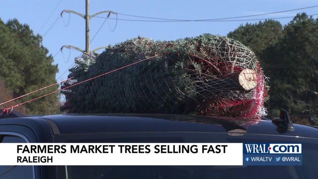 Brisk sales mark start of live Christmas tree sales in area
