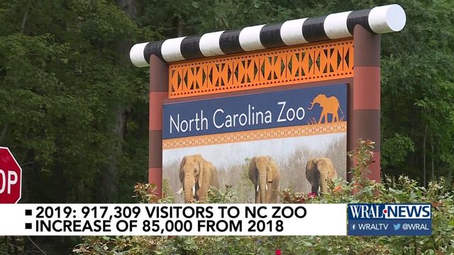 2019 was even bigger year for NC Zoo than in 2018