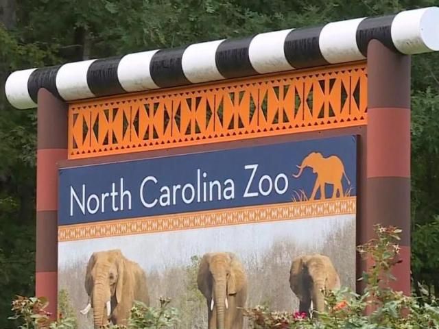 3 places to see animals in NC