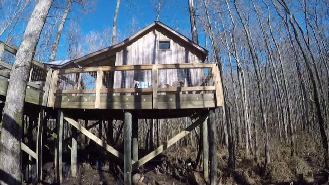 Bertie County tree houses allow people to enjoy nature, get away from it all
