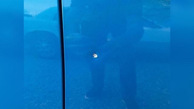 Police: Someone is shooting at cars on US 264 in Wilson