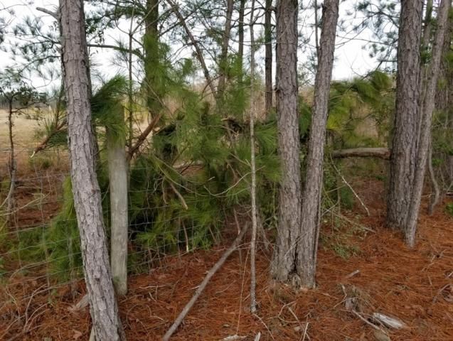 Deputies makeshift ground blinds from where shots were fired