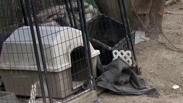 Home where some dogs found was condemned