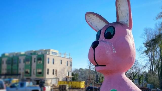 George overlooks downtown Raleigh from Preservation NC