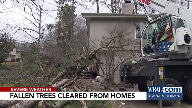 Trees down on homes, in yards at many Raleigh locations