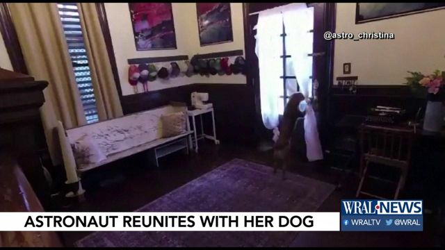 Caught on cam: Emotional moment astronaut Christina Koch reunites with her dog 