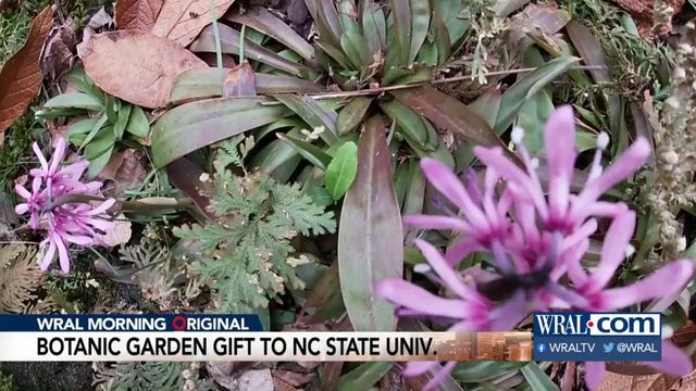 Botanical garden gift to NC State University