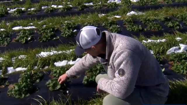 Up-and-down February weather impacting local farmers
