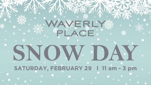 Waverly Place's Snow Day brings snow, sledding and snowball fights to Cary this weekend