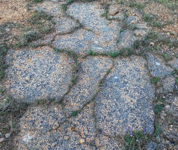 Remains of a runway from Raleigh's first airport