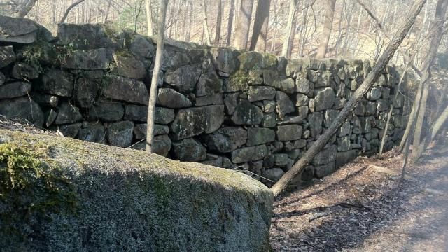 Abandoned historic structures at Umstead Park