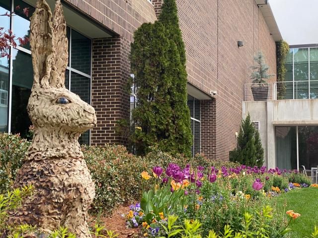 The rabbit statue in WRAL's azalea garden
