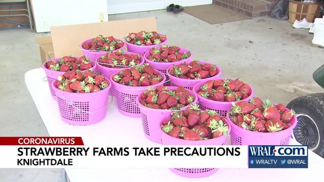 Coronavirus doesn't stop opening day for Knightdale strawberry farm