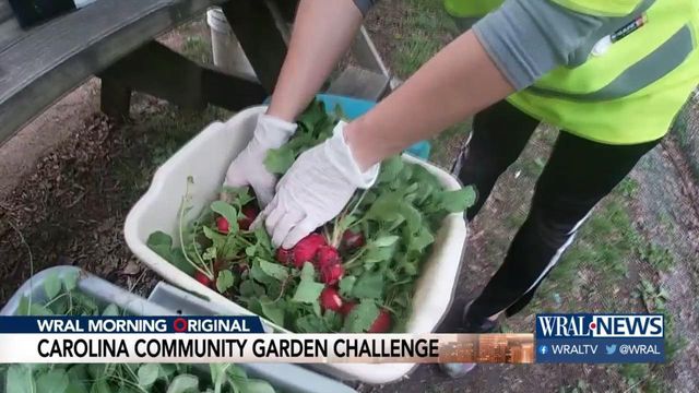UNC Community garden donates produce to medical staff