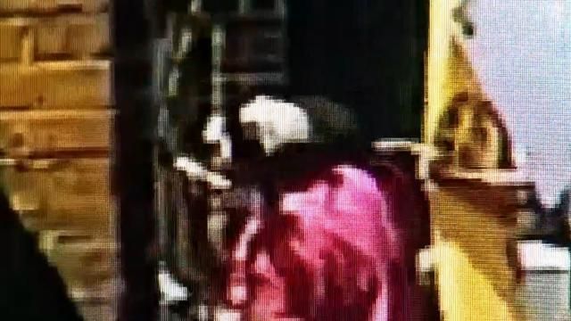 Protestor who tried to rip down gate at governor's mansion