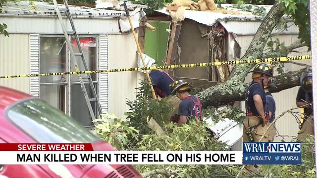 Man dies after tree falls onto mobile home
