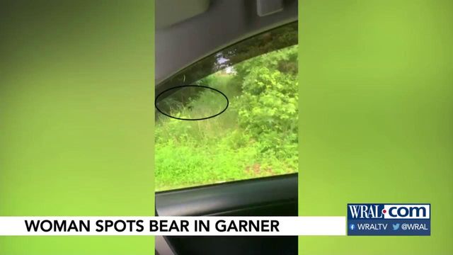 Woman spots bear in Garner