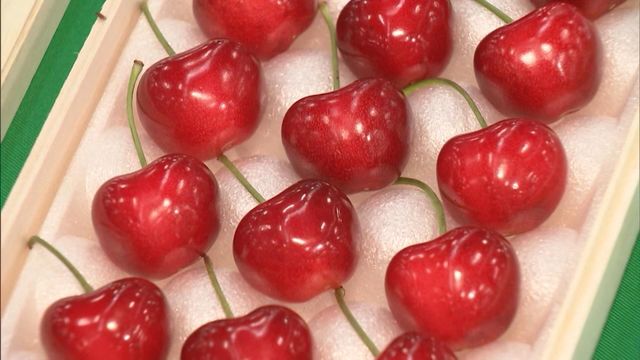 Box of heart-shaped cherries sell for over $2,000 in Japan 