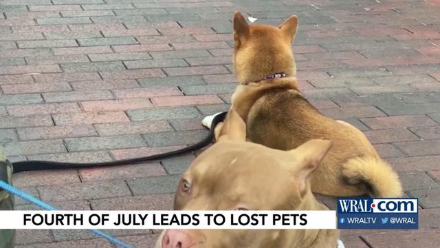 July 4th leads to more lost pets than any day of the year