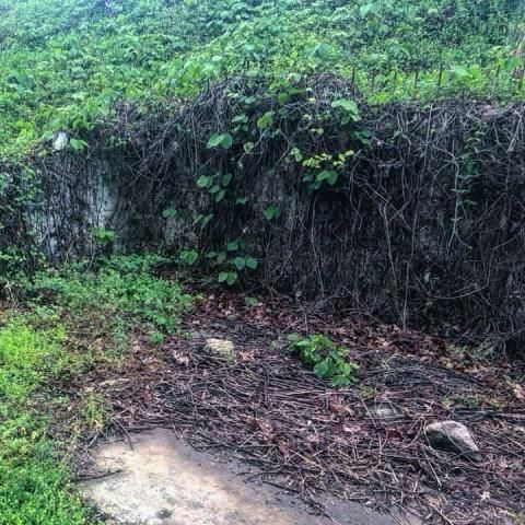 Remaining walls from beneath bleachers form a corner, where the remains of plumbing can be found. On top of the wall, rusty strands of rebar indicate where the bleachers likely attached.