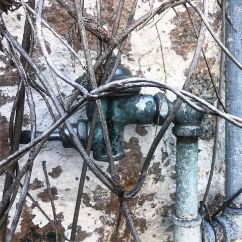 Rusted plumbing from the remains of Devereux Meadow. This plumbing has a flusher attached, indicating where a restroom would have been beneath the bleachers.